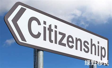 出国投资移民公司