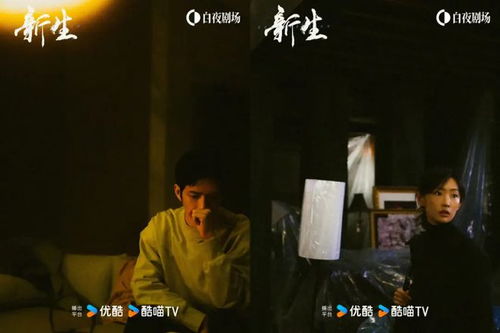 优酷白夜剧场社会派悬疑剧的创新与进阶