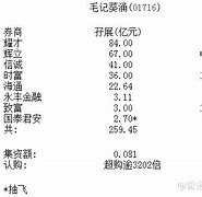 毛记葵涌股价早盘大幅跳水市场反应与潜在影响分析